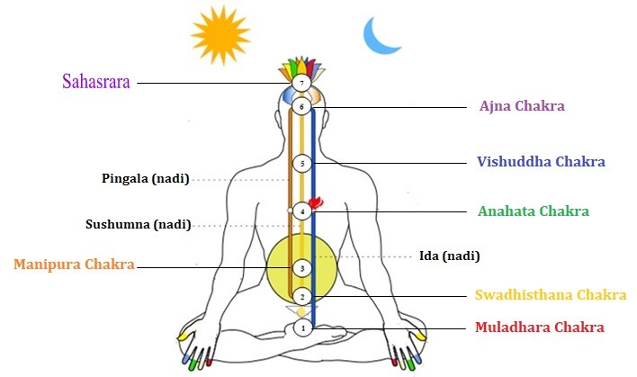 Pranayama El metodo de potenciar la energia vital.La energía que fluye a través de sushumna nadi 