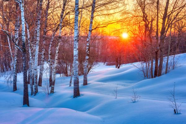 solsticio_de_invierno_de_2020_hemisferio_norte_y_sur_tantra-press.