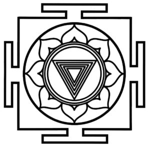 Las 10 Mahavidyas o representaciones de la Devi   Kali Mahavidya