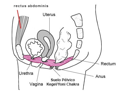 The awakening of Yoni Chakra improves our sexual experience
blog about Yoga, Tantra, Kashmir Shaivism, Advaita Vedanta and Hindu spirituality
