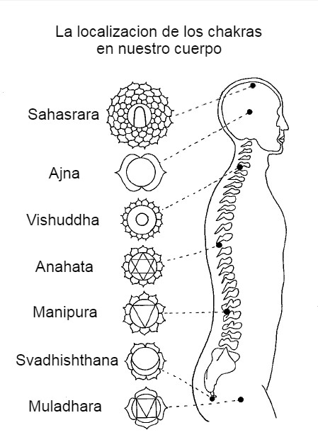 La localizacion de los Chakras en nuestro cuerpo