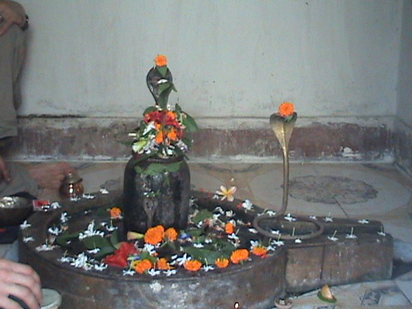 El Shiva Lingam de esta foto esta ubicado en Gauri Kund, India. 