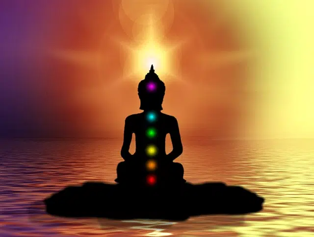 El objetivo de los yoguis con el yoga es alcanzar la paz interior, la felicidad y la iluminación espiritual.