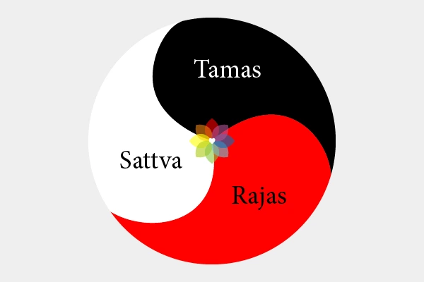 Definición de Guna son las tres cualidades que residen en nosotros, Satuá (bondad), Rayas (energía) y Tamas (ignorancia).