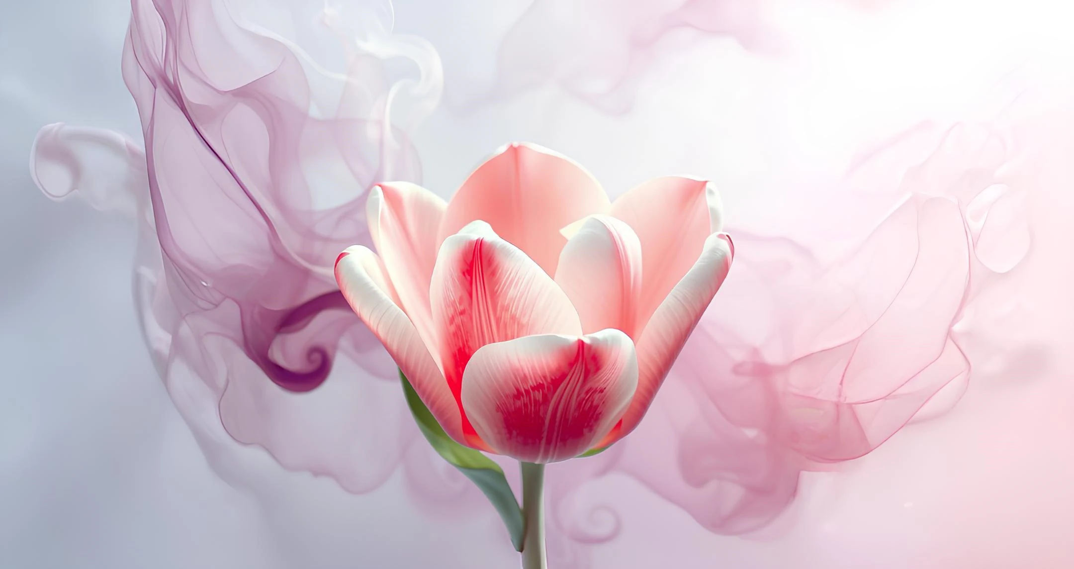 Un tulipán florecido rodeado por el suave humo del incienso Alps Ulla, creando una atmósfera pacífica y serena. El tulipán simboliza la belleza y el crecimiento, mientras que el incienso potencia el ambiente calmado y meditativo. Los colores cálidos, con suaves tonos de rosa, morado y dorado, invitan a la conexión espiritual y la paz interior- Ofrecido por Tantrapressevento meditacion gratis